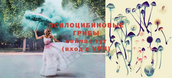 дмт Кулебаки