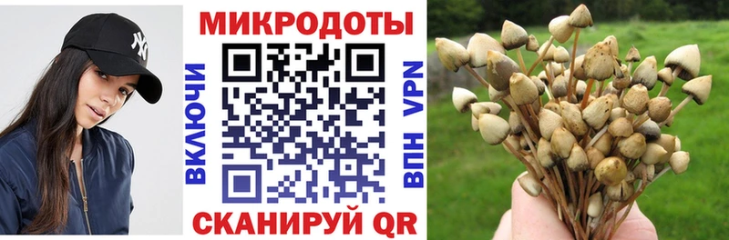 Галлюциногенные грибы Magic Shrooms  Купить где  Партизанск 